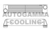 BMW 17517791909 Intercooler, charger